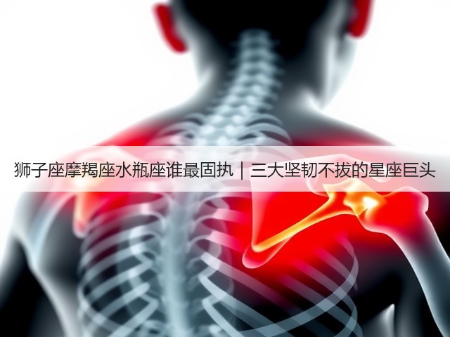 狮子座摩羯座水瓶座谁最固执|三大坚韧不拔的星座巨头(图3) 狮子座摩羯座水瓶座谁最固执|三大坚韧不拔的星座巨头(图3)