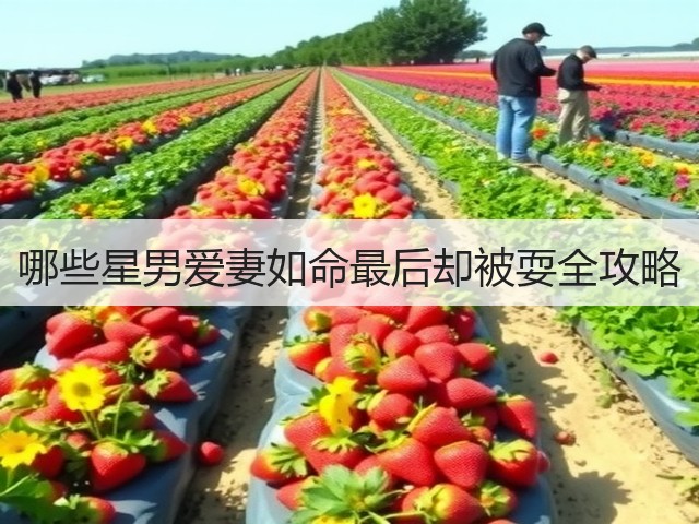 哪些星男爱妻如命最后却被耍全攻略(图1) 哪些星男爱妻如命最后却被耍全攻略(图1)