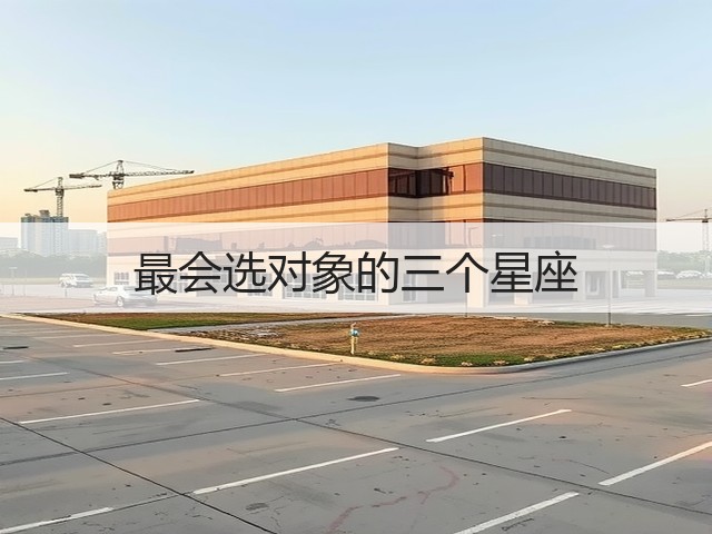 最会选对象的三个星座(图3) 最会选对象的三个星座(图3)