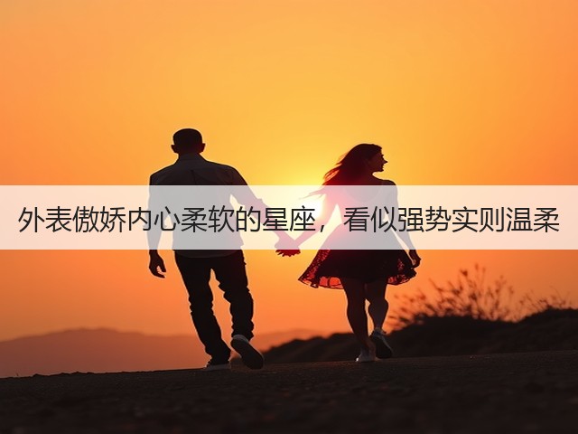 外表傲娇内心柔软的星座,看似强势实则温柔(图3) 外表傲娇内心柔软的星座,看似强势实则温柔(图3)