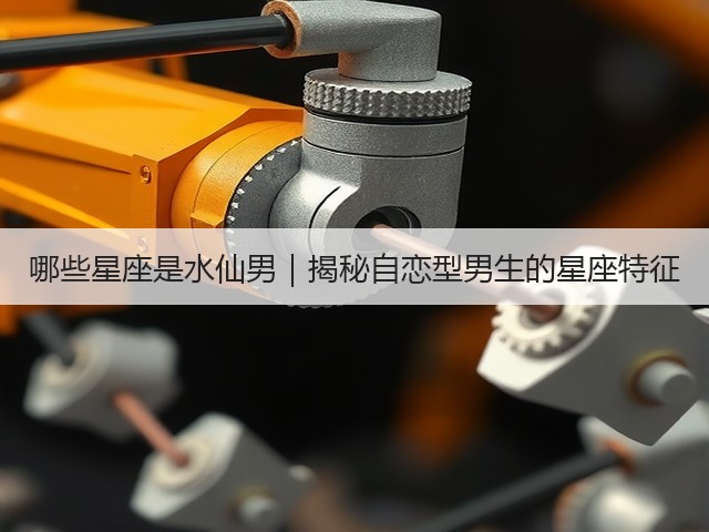 哪些星座是水仙男|揭秘自恋型男生的星座特征(图2) 哪些星座是水仙男|揭秘自恋型男生的星座特征(图2)