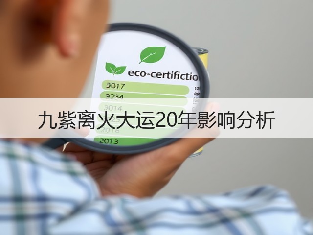 九紫离火大运20年影响分析(图3)