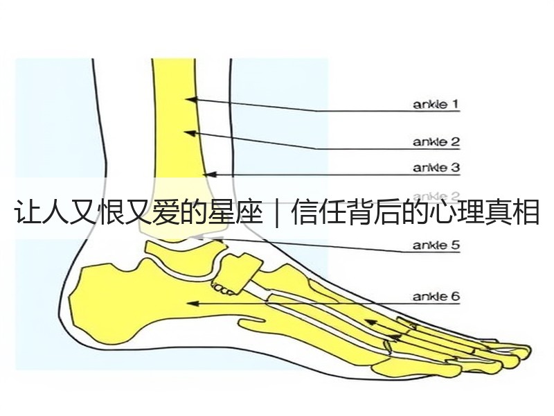 让人又恨又爱的星座｜信任背后的心理真相