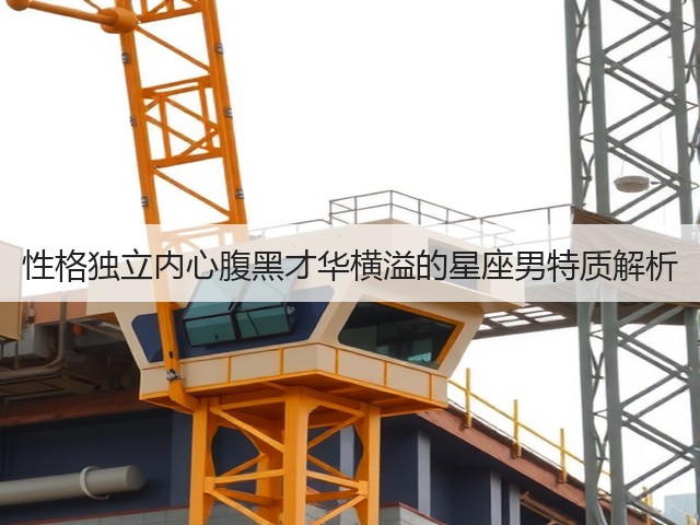 性格独立内心腹黑才华横溢的星座男特质解析(图3) 性格独立内心腹黑才华横溢的星座男特质解析(图3)