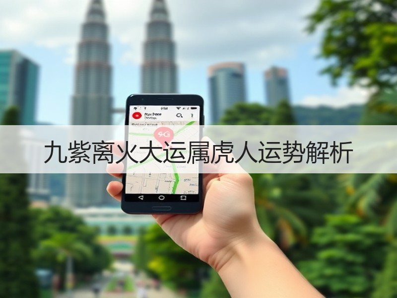 九紫离火大运属虎人运势解析