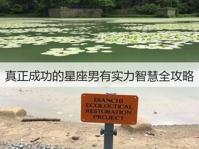 真正成功的星座男有实力智慧全攻略(图2)
