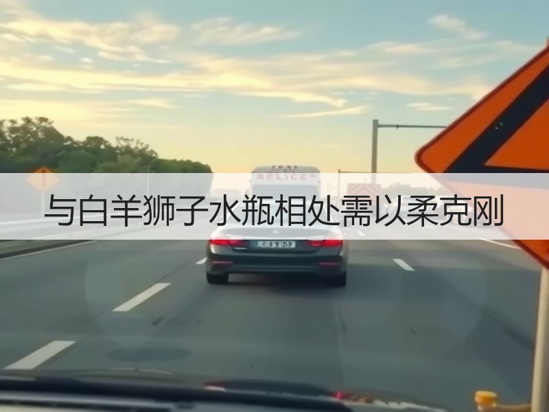 与白羊狮子水瓶相处需以柔克刚