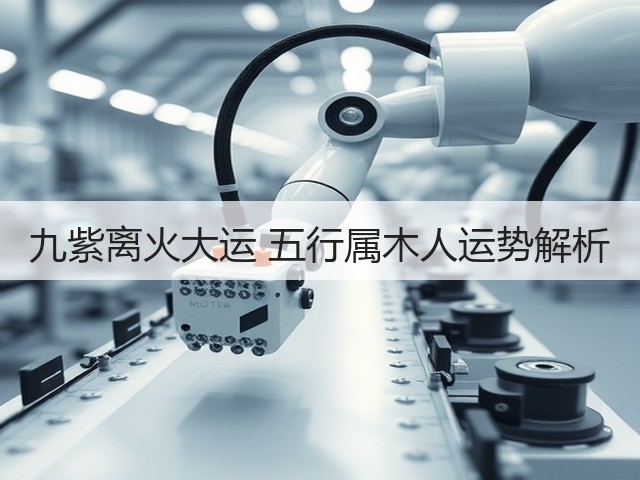 九紫离火大运 五行属木人运势解析(图3) 九紫离火大运 五行属木人运势解析(图3)