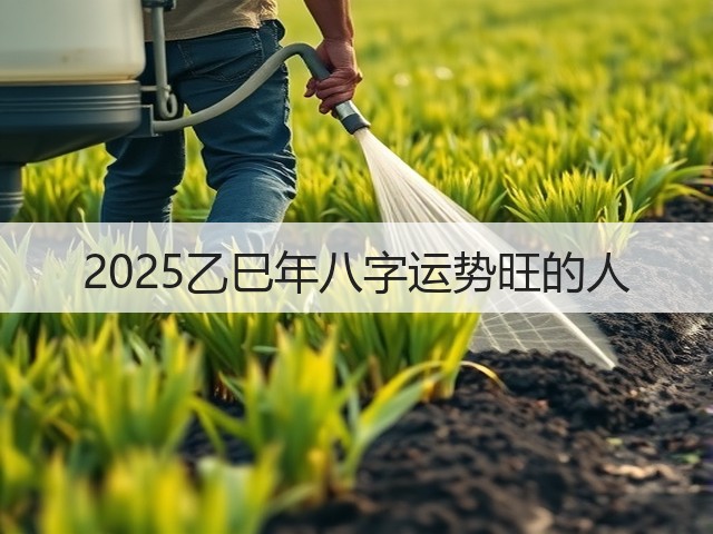 2025乙巳年八字运势旺的人(图3)