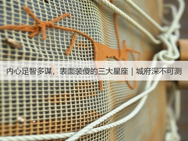 内心足智多谋,表面装傻的三大星座|城府深不可测(图2) 内心足智多谋,表面装傻的三大星座|城府深不可测(图2)
