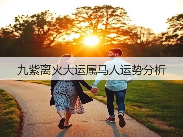 九紫离火大运属马人运势分析(图3) 九紫离火大运属马人运势分析(图3)
