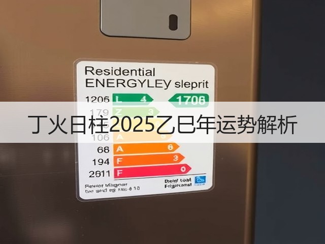 丁火日柱2025乙巳年运势解析(图1) 丁火日柱2025乙巳年运势解析(图1)