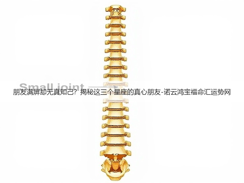 朋友满屏却无真知己？揭秘这三个星座的真心朋友-诺云鸿宝福命汇运势网