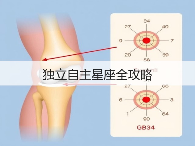 独立自主星座全攻略(图1)