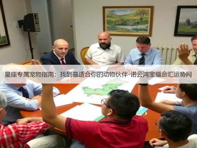 星座专属宠物指南:找到最适合你的动物伙伴-诺云鸿宝福命汇运势网(图2) 星座专属宠物指南:找到最适合你的动物伙伴-诺云鸿宝福命汇运势网(图2)