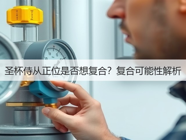 圣杯侍从正位是否想复合？复合可能性解析(图1)