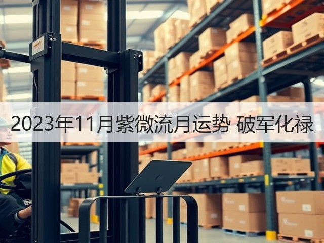 2023年11月紫微流月运势 破军化禄(图1)