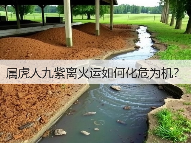 属虎人九紫离火运如何化危为机?(图3) 属虎人九紫离火运如何化危为机?(图3)