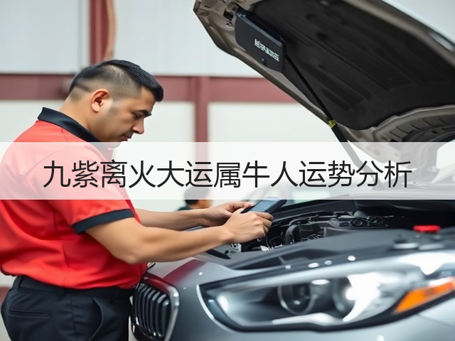 九紫离火大运属牛人运势分析(图1)