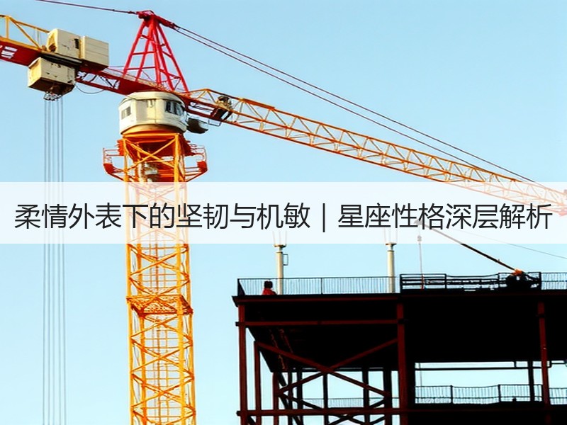 柔情外表下的坚韧与机敏｜星座性格深层解析