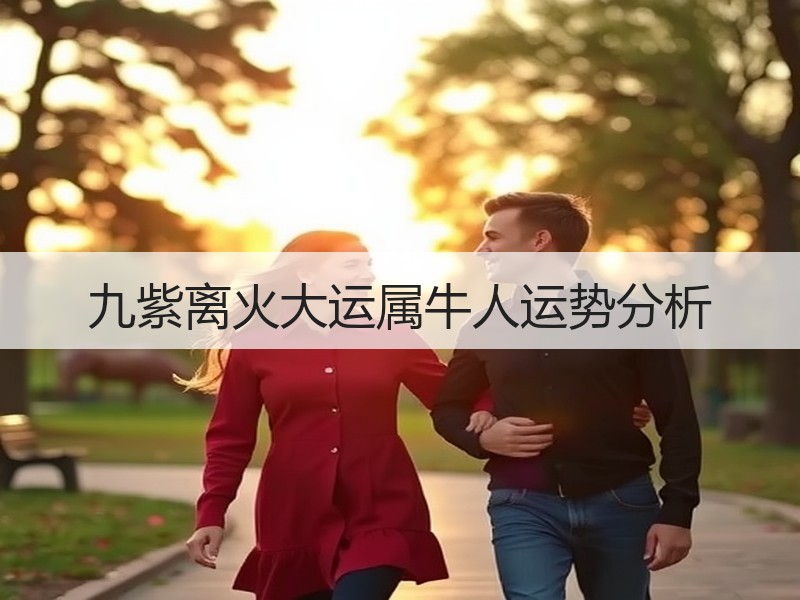 九紫离火大运属牛人运势分析
