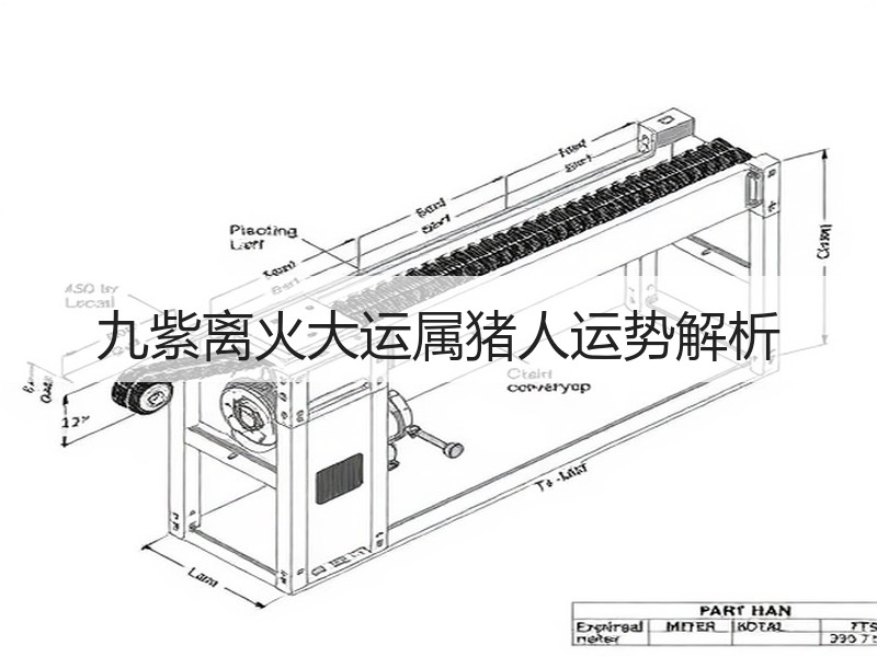 九紫离火大运属猪人运势解析