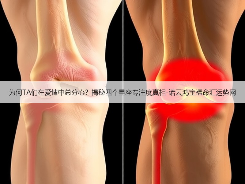 为何TA们在爱情中总分心？揭秘四个星座专注度真相-诺云鸿宝福命汇运势网