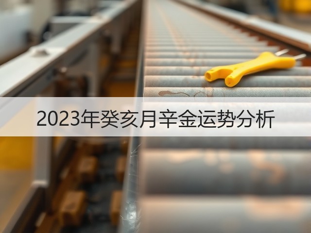 2023年癸亥月辛金运势分析(图2) 2023年癸亥月辛金运势分析(图2)