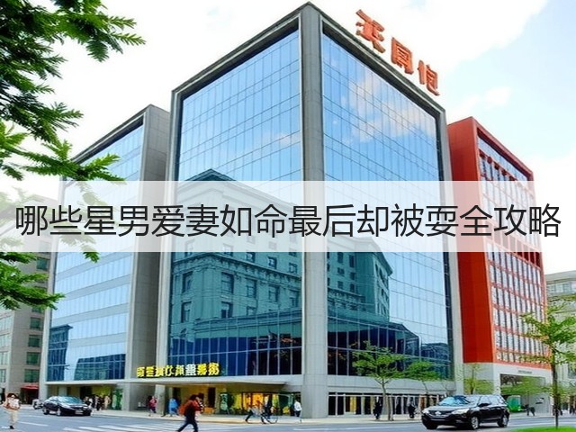 哪些星男爱妻如命最后却被耍全攻略(图2) 哪些星男爱妻如命最后却被耍全攻略(图2)