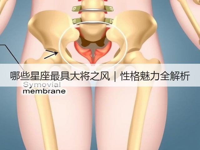 哪些星座最具大将之风|性格魅力全解析(图2) 哪些星座最具大将之风|性格魅力全解析(图2)
