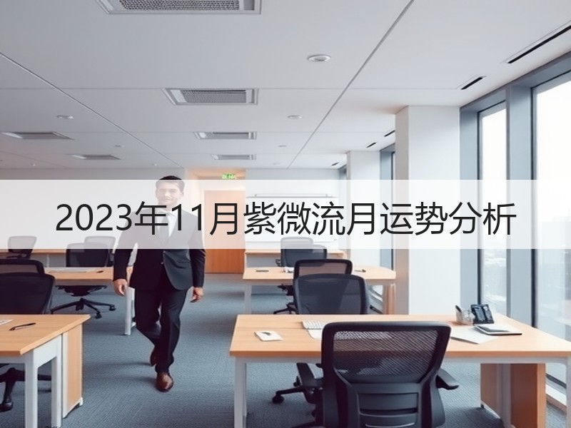 2023年11月紫微流月运势分析