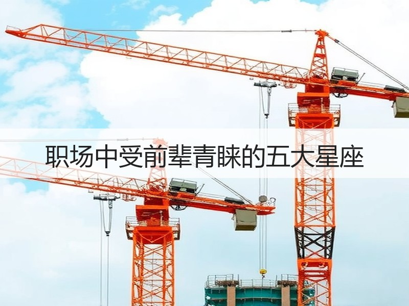 职场中受前辈青睐的五大星座