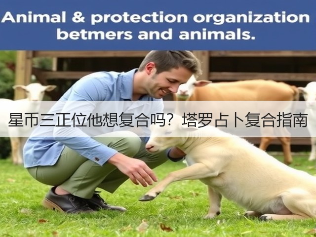 星币三正位他想复合吗？塔罗占卜复合指南(图2)