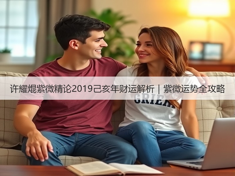 许耀焜紫微精论2019己亥年财运解析｜紫微运势全攻略