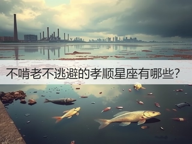 不啃老不逃避的孝顺星座有哪些?(图2) 不啃老不逃避的孝顺星座有哪些?(图2)