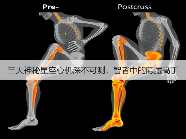 三大神秘星座心机深不可测,智者中的隐藏高手(图3) 三大神秘星座心机深不可测,智者中的隐藏高手(图3)