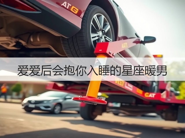 爱爱后会抱你入睡的星座暖男(图2)