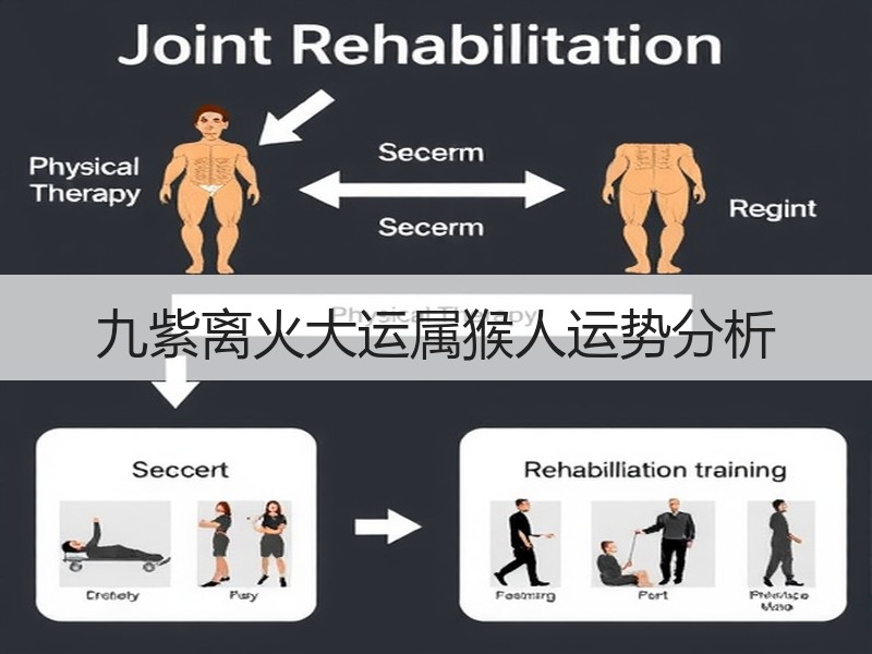 九紫离火大运属猴人运势分析