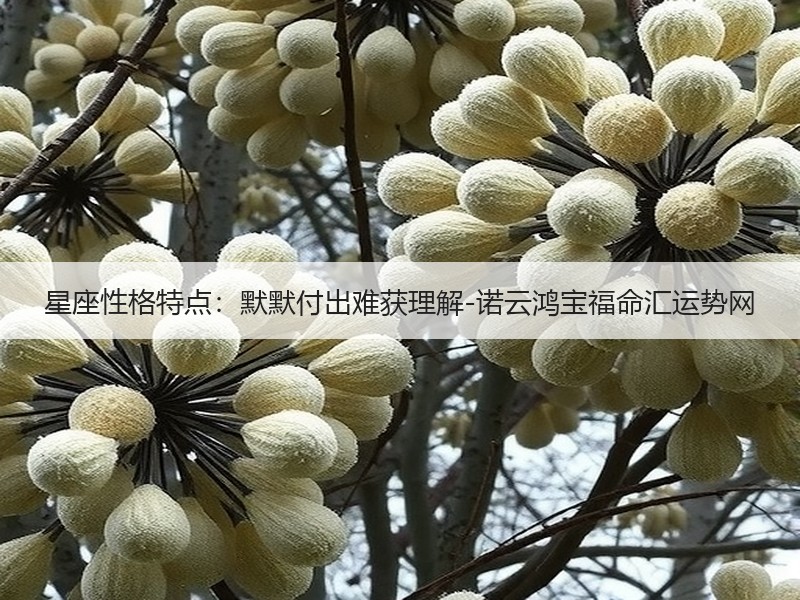 星座性格特点：默默付出难获理解-诺云鸿宝福命汇运势网