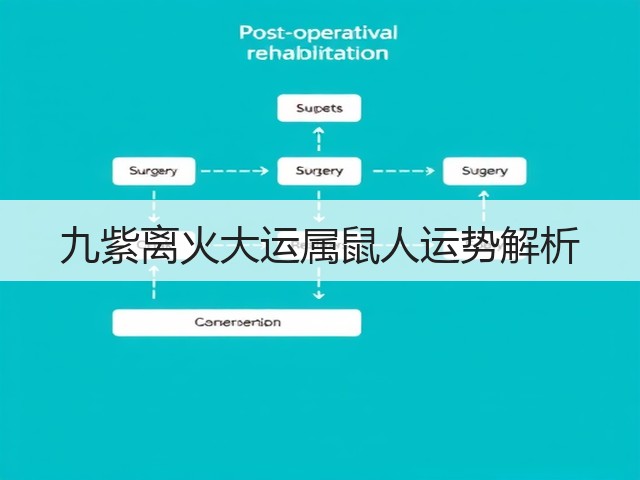九紫离火大运属鼠人运势解析(图3) 九紫离火大运属鼠人运势解析(图3)