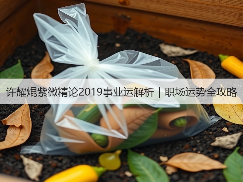 许耀焜紫微精论2019事业运解析｜职场运势全攻略