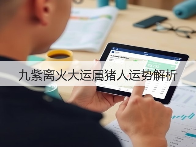 九紫离火大运属猪人运势解析(图3)