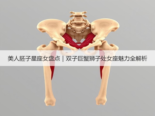 美人胚子星座女盘点|双子巨蟹狮子处女座魅力全解析(图1) 美人胚子星座女盘点|双子巨蟹狮子处女座魅力全解析(图1)