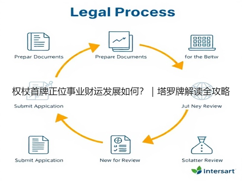 权杖首牌正位事业财运发展如何？｜塔罗牌解读全攻略