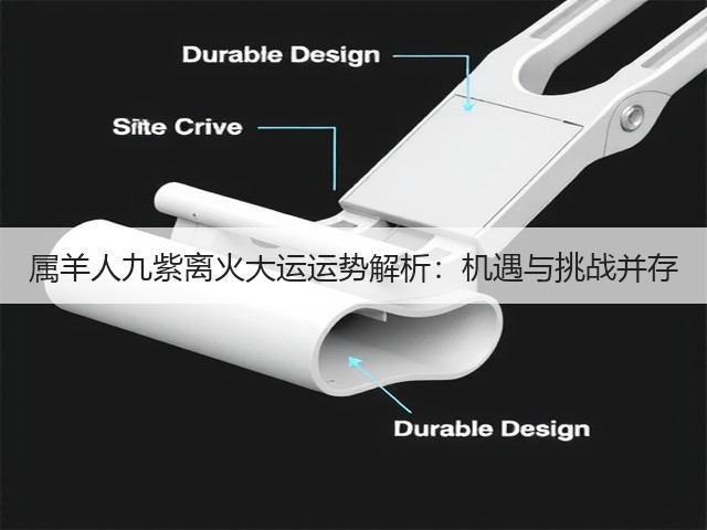 属羊人九紫离火大运运势解析：机遇与挑战并存(图3)