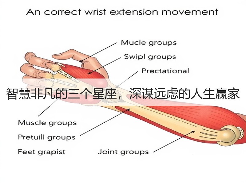 智慧非凡的三个星座，深谋远虑的人生赢家
