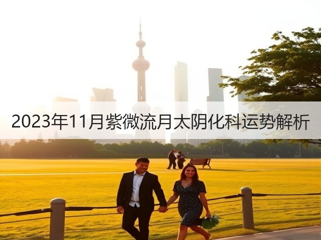 2023年11月紫微流月太阴化科运势解析(图1) 2023年11月紫微流月太阴化科运势解析(图1)