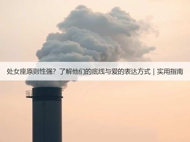 处女座原则性强？了解他们的底线与爱的表达方式｜实用指南(图3)