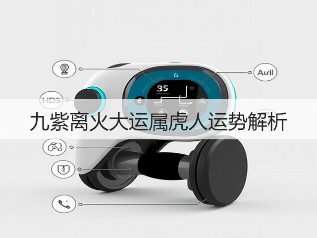 九紫离火大运属虎人运势解析(图3)
