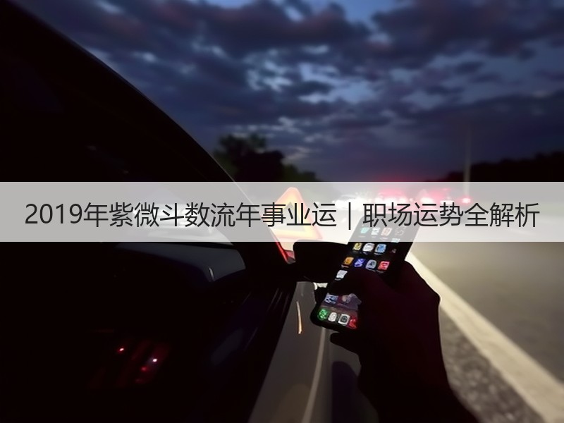 2019年紫微斗数流年事业运｜职场运势全解析